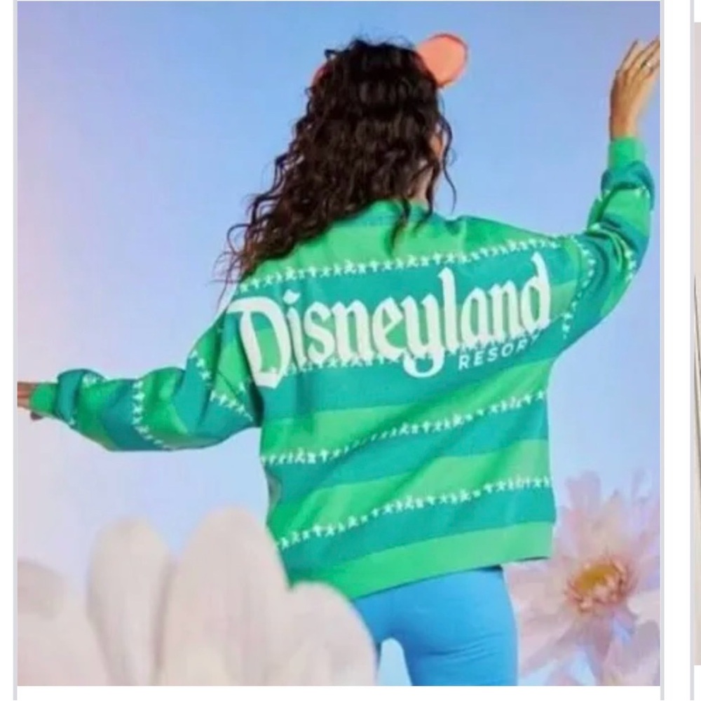 Disneyland Mickey & Friends Stripe Sweatshirt